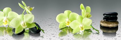 фотообои Зеленые орхидеи