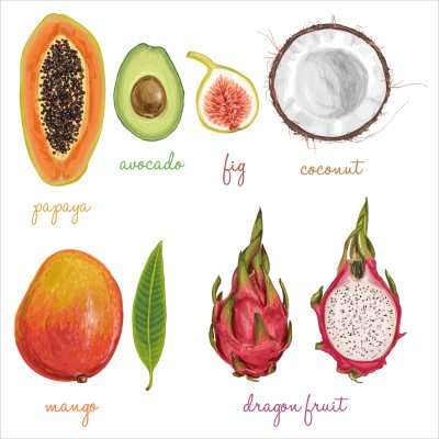 постеры Экзотические фрукты
