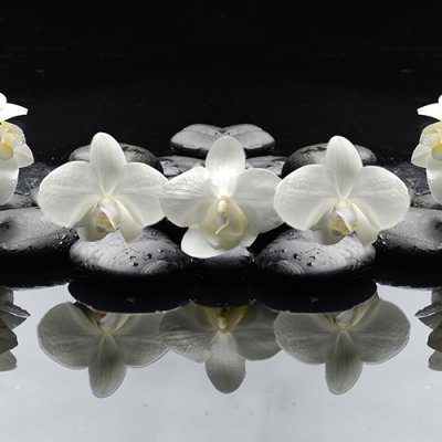 фотообои Ветви белой орхидеи
