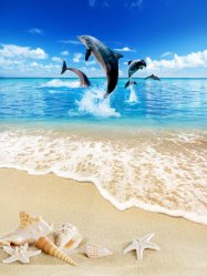 фотообои Дельфиний пляж