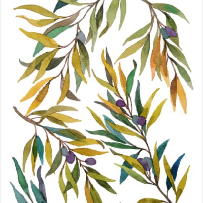 постеры Ветви оливок