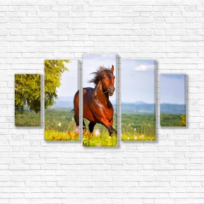 модульные картины Лошадь в поле