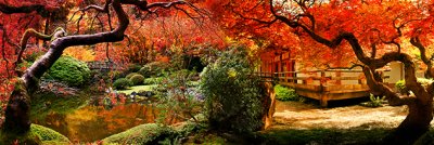 фотообои Осень в Киото
