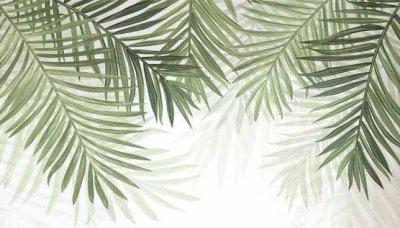 фотообои Пальмовый занавес
