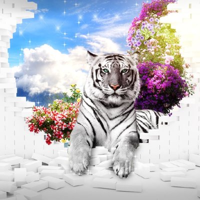 фотообои Тигр и белая стена