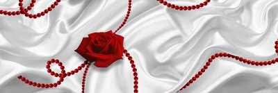 фотообои Розы на белом шелке