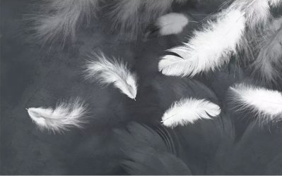 фотообои Фреска с перьями