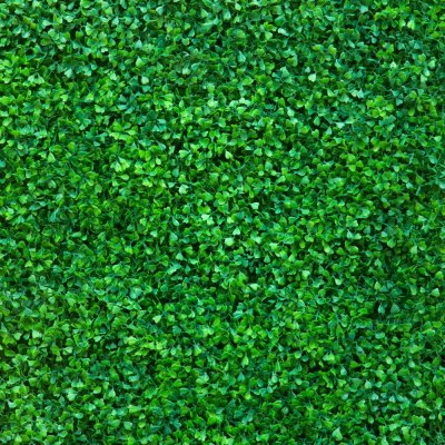 фотообои Зеленый фон из листьев