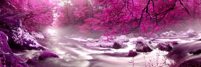 фотообои Пурпурный лес