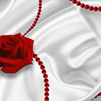 фотообои Розы на белом шелке