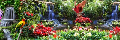 фотообои Тропический сад