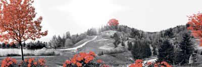 фотообои Красная осень