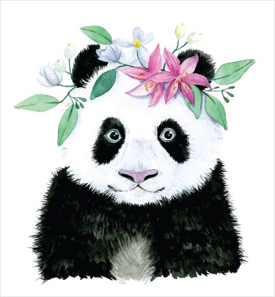 постеры Портрет панды