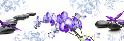 фотообои Дивная орхидея