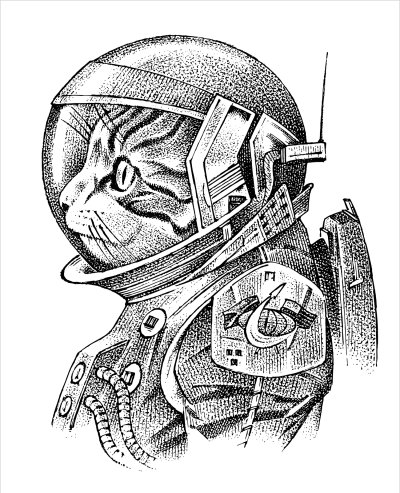 постеры Кот астронавт