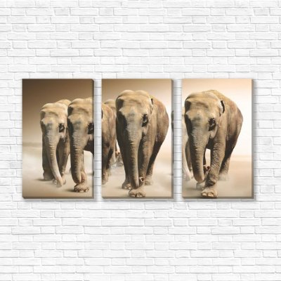 модульные картины Слоны