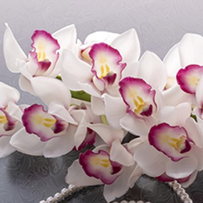 фотообои Жемчужные орхидеи